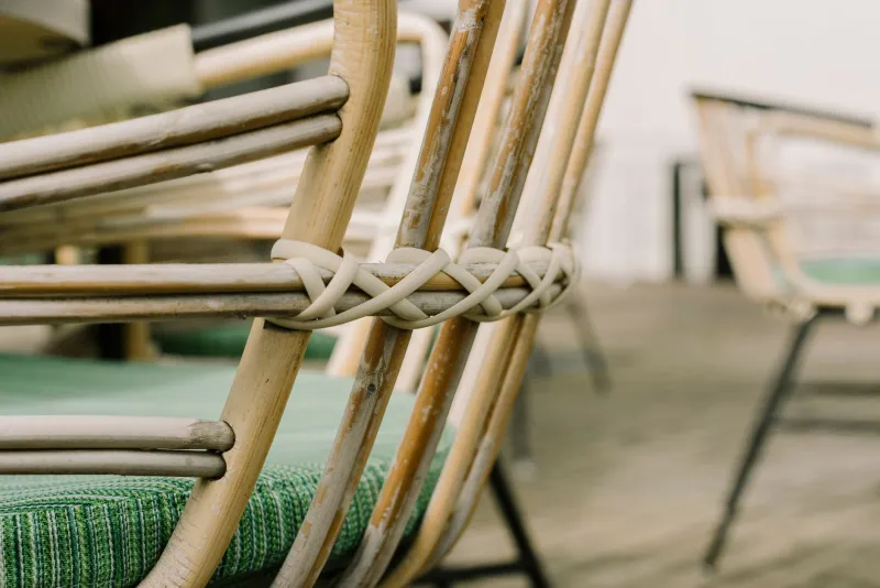 Bellezza che rispetta la terra: il nuovo volto del design italiano sostenibile